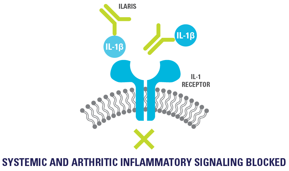 Inflammatory signaling blocking. Systemic and arthritic inflammatory signaling blocked.