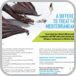 FMF Brochure